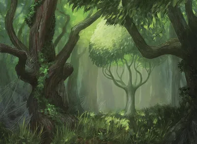 Forest 1