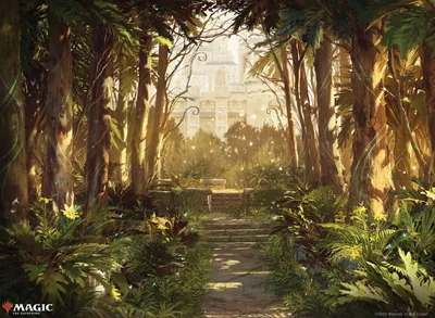 Forest 4