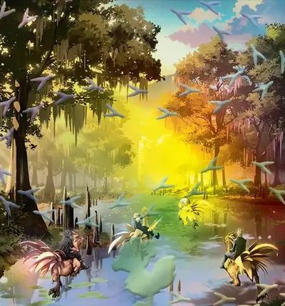 Swamp