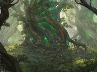 Turntimber Symbiosis 1