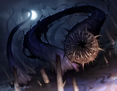 Curse of Leeches 1