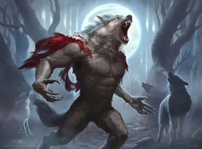 Child of the Pack