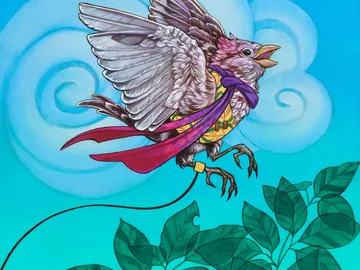 Finch Formation Token