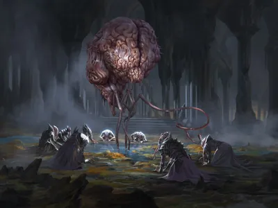 Elder Brain