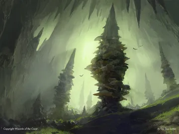 Forest