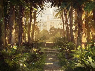 Forest