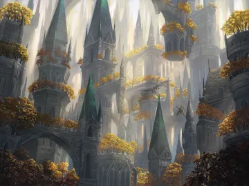 Forest