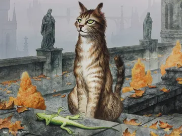 Generous Stray