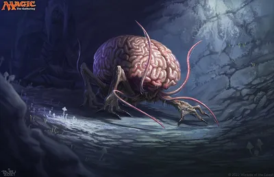 Intellect Devourer