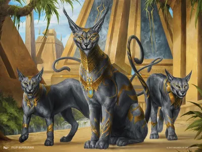 Regal Caracal