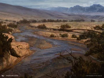 Swamp