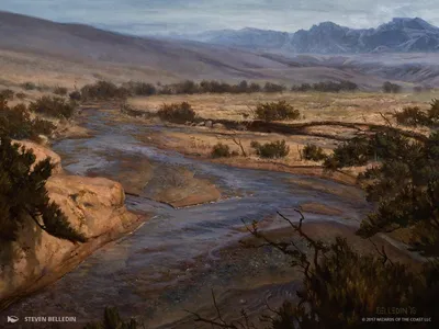 Swamp