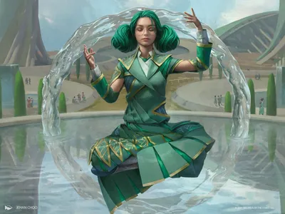 Symmetry Sage