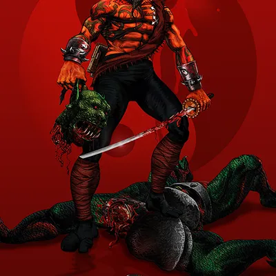 Shadow Warrior