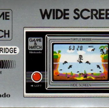 Turtle Bridge