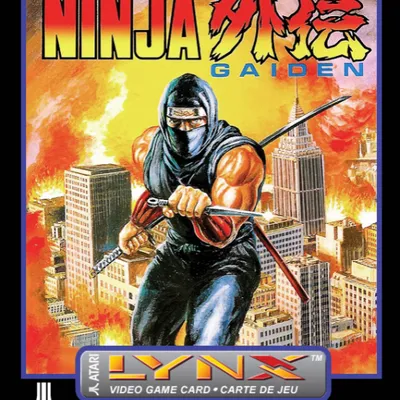 Ninja Gaiden