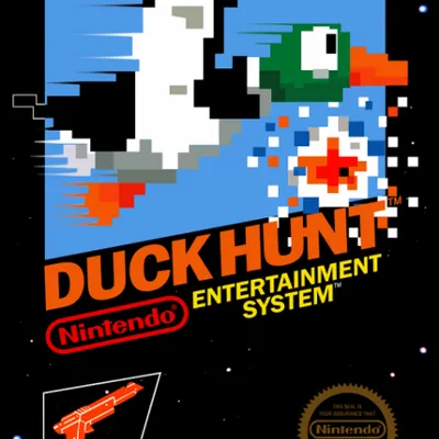 Duck Hunt